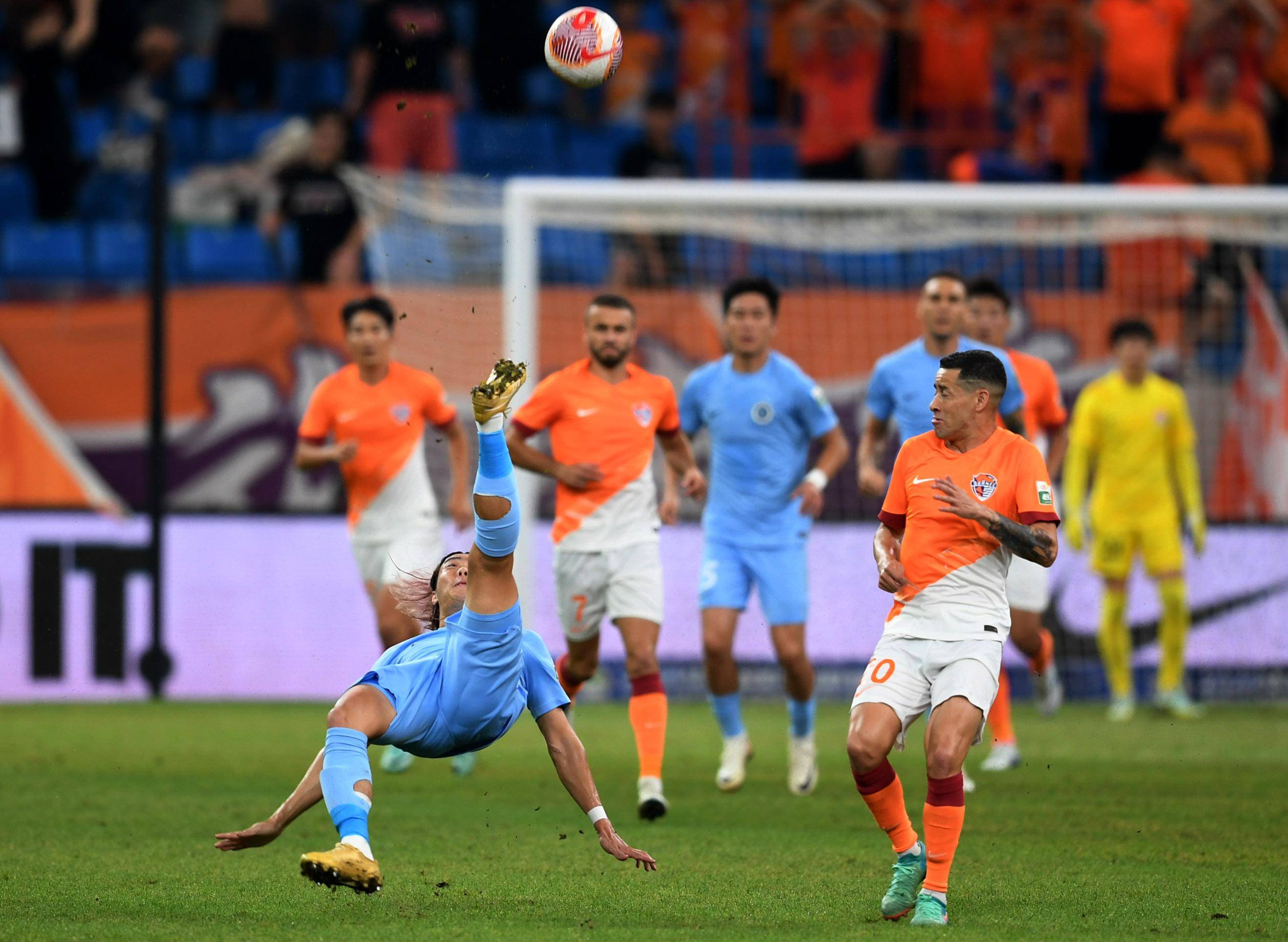 文化的价值 文化的价值