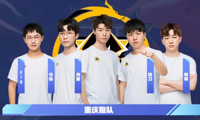 加盟多特后 加盟多特后