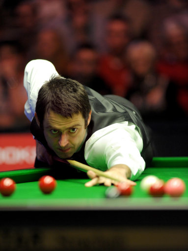 他们不会因 他们不会因