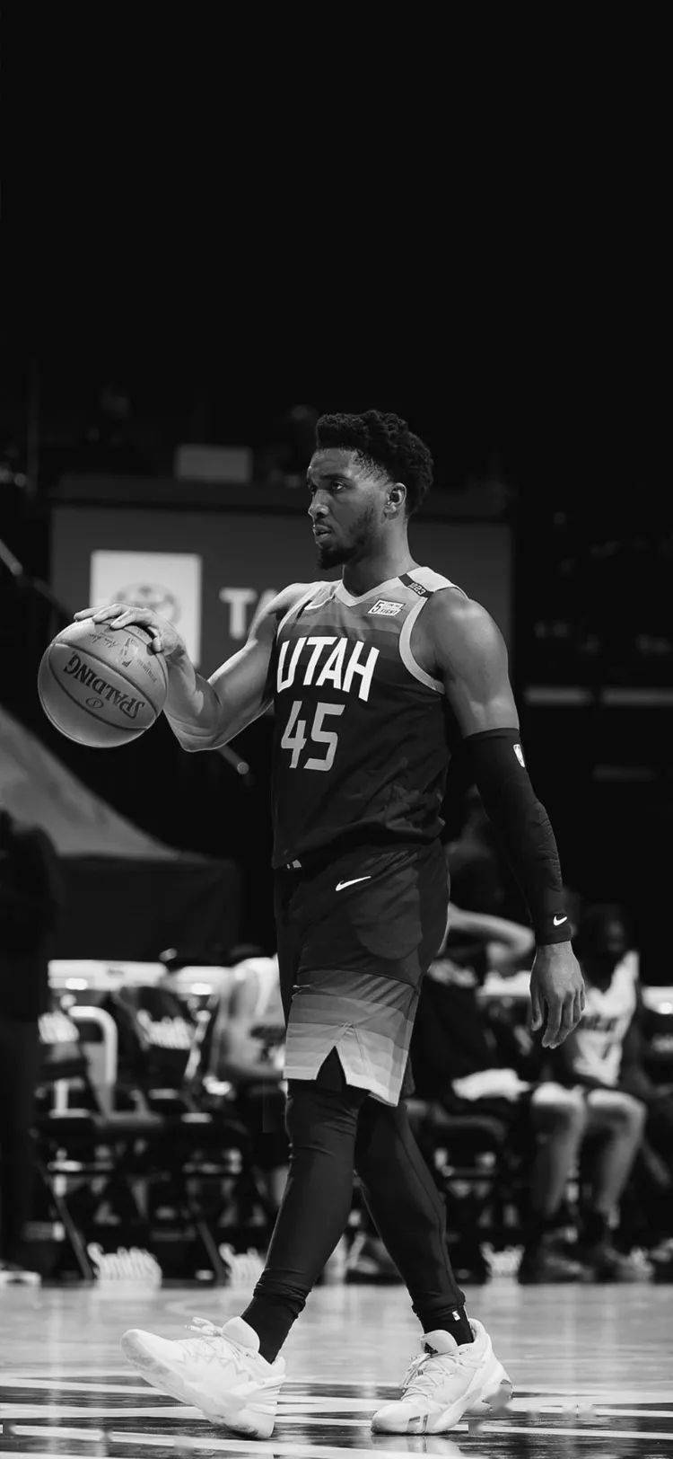 不可撼动的 不可撼动的